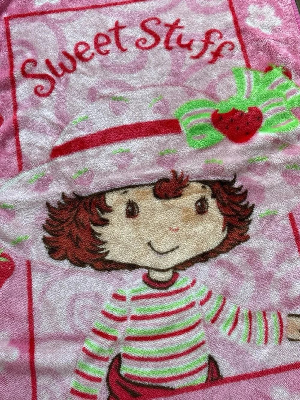 VTG Y2K 2005 Strawberry Shortcake 